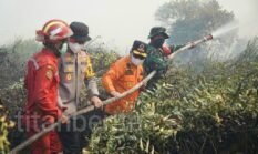 Gubernur Bersama Danrem dan Kapolda Turun Padamkan Karhutla di Tanjab Timur