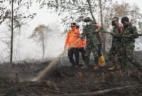 Pastikan Penanganan Maksimal, Gubernur dan Danrem Kembali Tinjau Karhutla Londerang